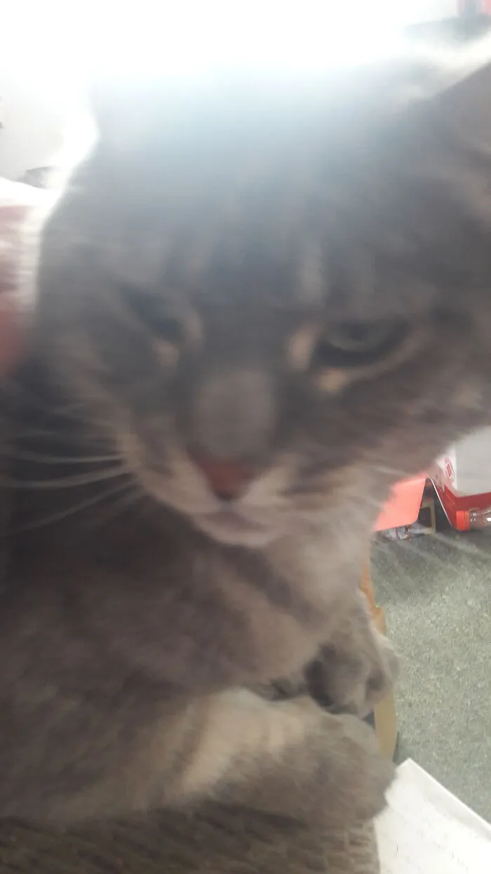 Why Did U Wake Me Up?