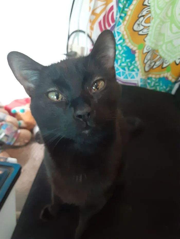 This Is Rez, Staring At Me Adoringly