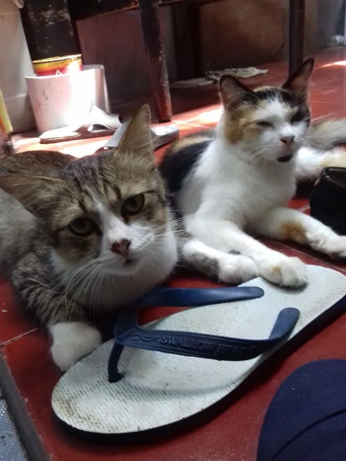 Waiting For Lunch
