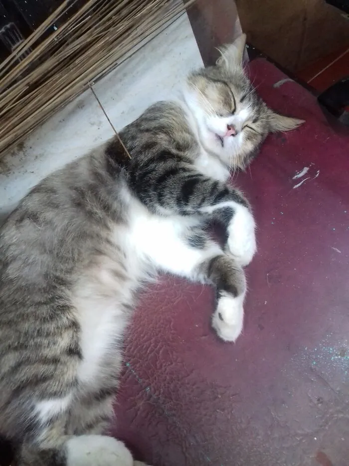 Take A Nap