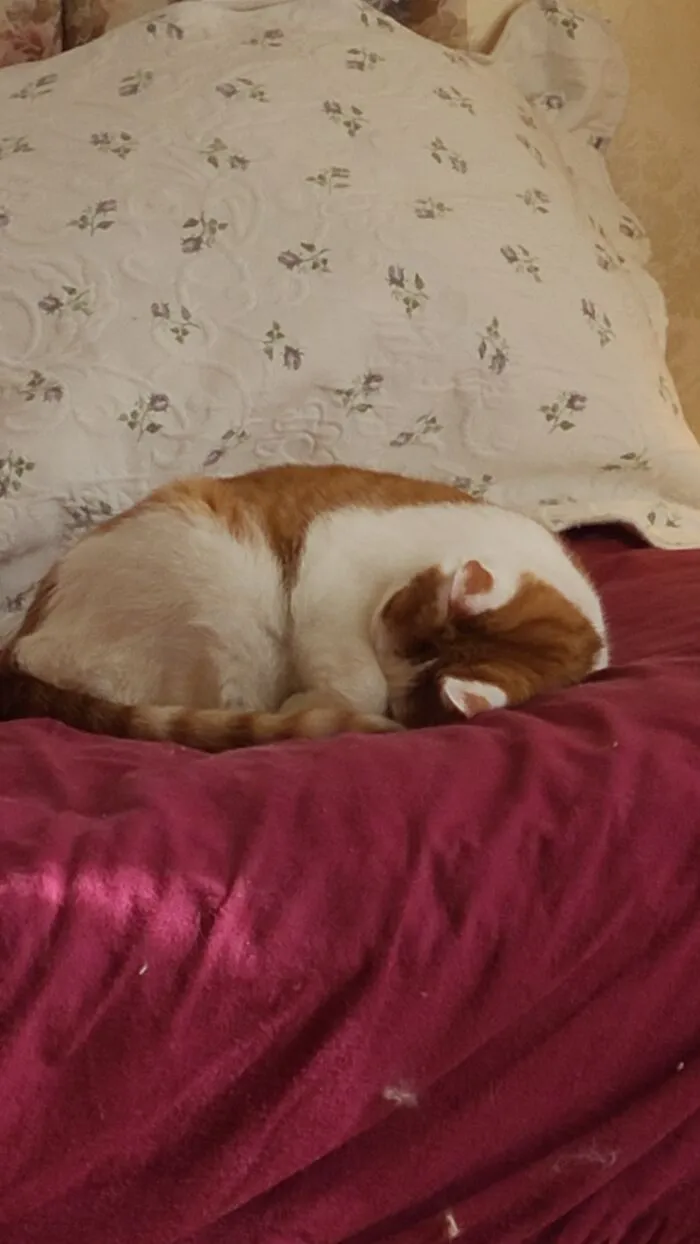 Gotta Keep That Nose Warm...