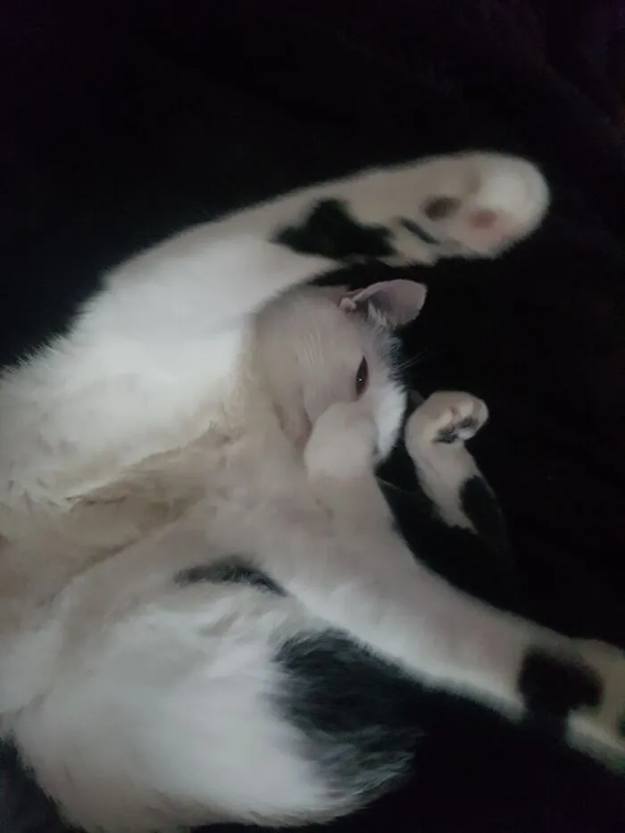 Why Is She Always Like This?