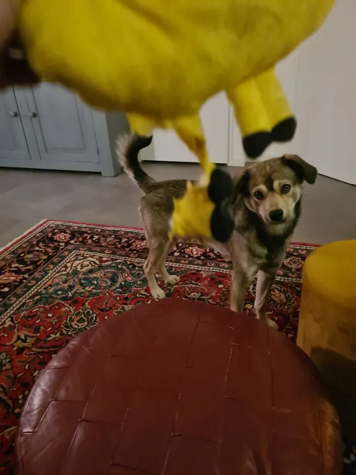 It Wasn't Me.