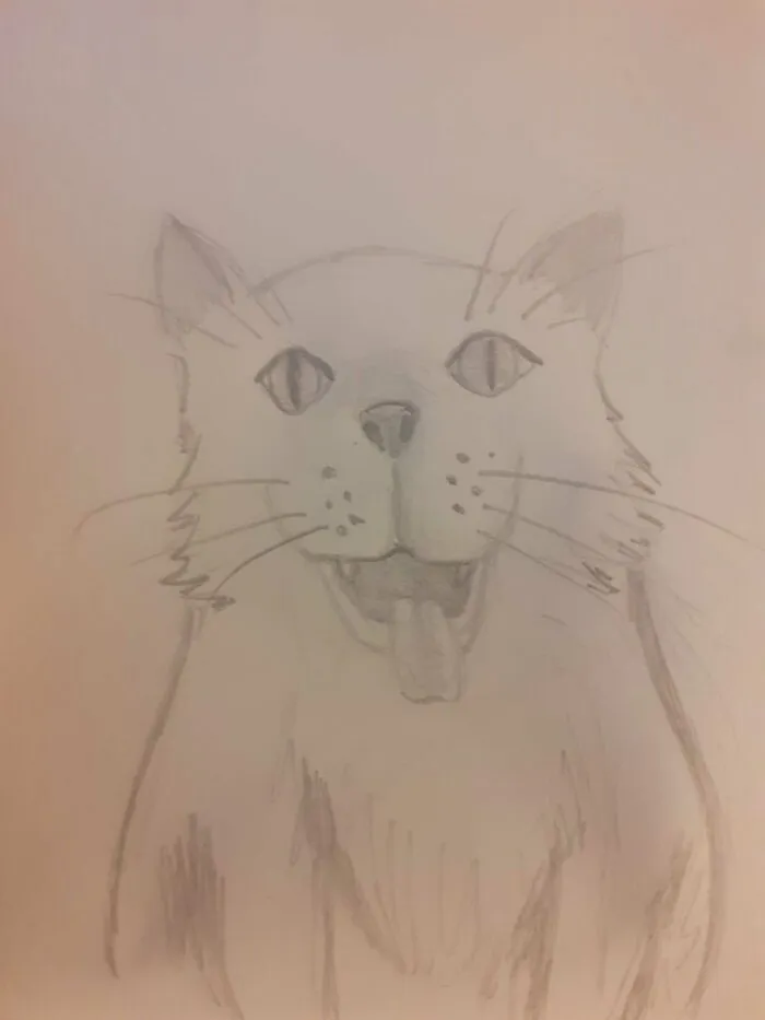 Dogcat. Catdog? Dat Cog? Cag Dot?