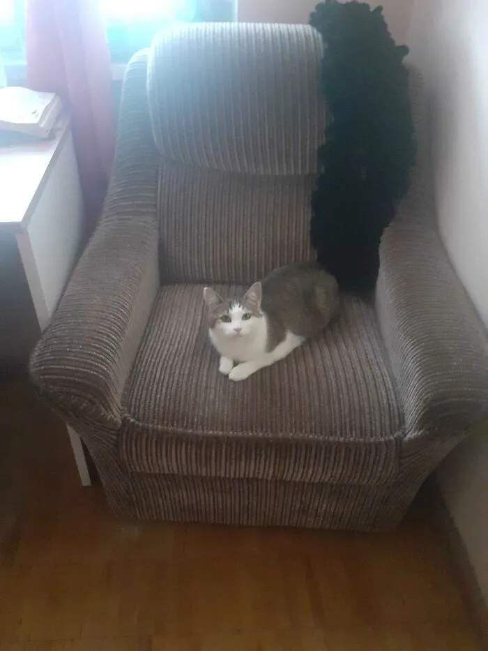 Chillin' On Her Seat