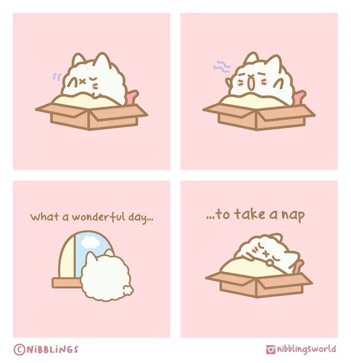 Wonderful Day