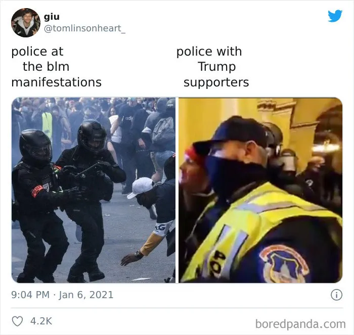 Twitter Is Comparing The Trump Mob To The BLM Protests, And Here Are 25 Of The Most Viral Tweets