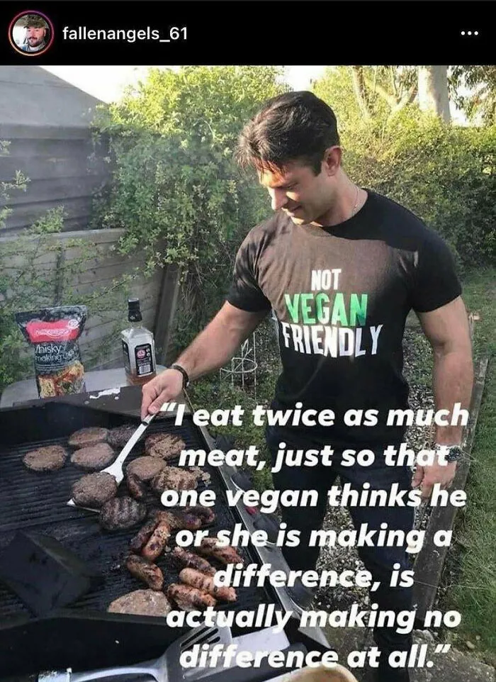 I See A Lot Of Vegan Cringe I Here But I Think People Who Are Anti Vegan For No Reason Can Be Cringe Too
