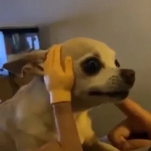 AlexThePerson