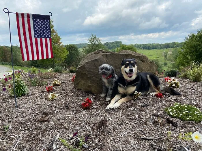 Dixie & Grace