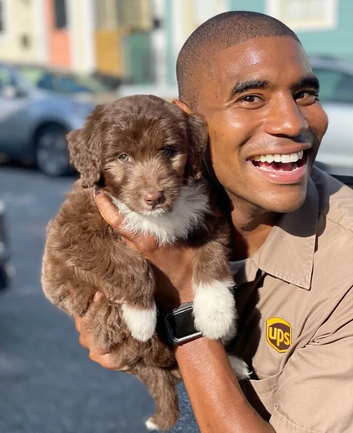 UPS Driver Posts The Adorable Dogs He Meets On Routes And The Internet Is Here For It (30 New Pics)
