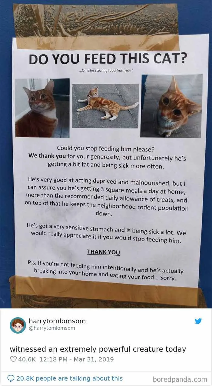 34 Times Cats Acted So Audacious That Their Owners Put Up A Sign To Warn Others About Their Ways