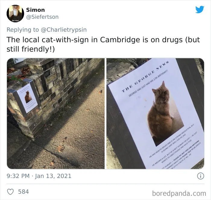 34 Times Cats Acted So Audacious That Their Owners Put Up A Sign To Warn Others About Their Ways