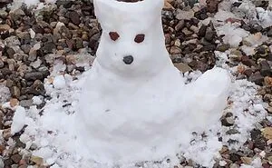 Hey Pandas, Show Your Snow Sculptures (Closed)