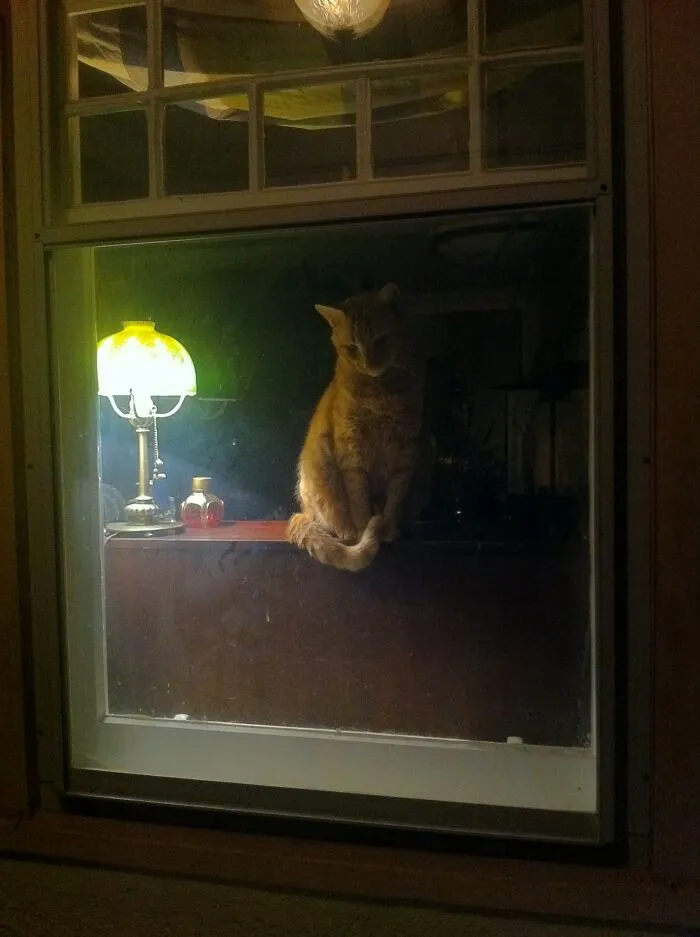 Summer Night