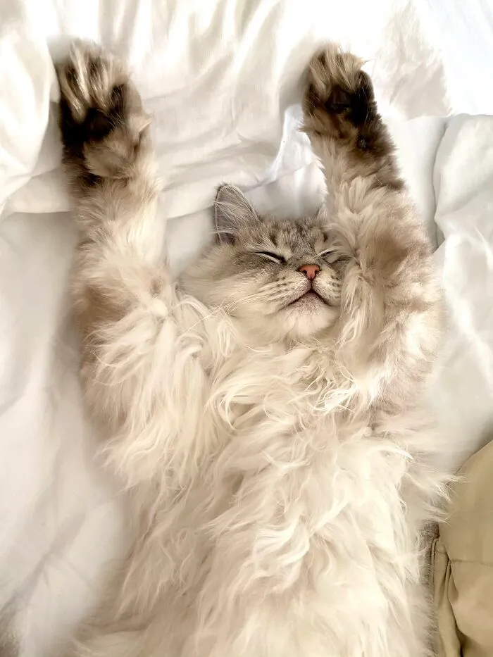 ...and Wave ‘Em Like You Just Don’t Care...
