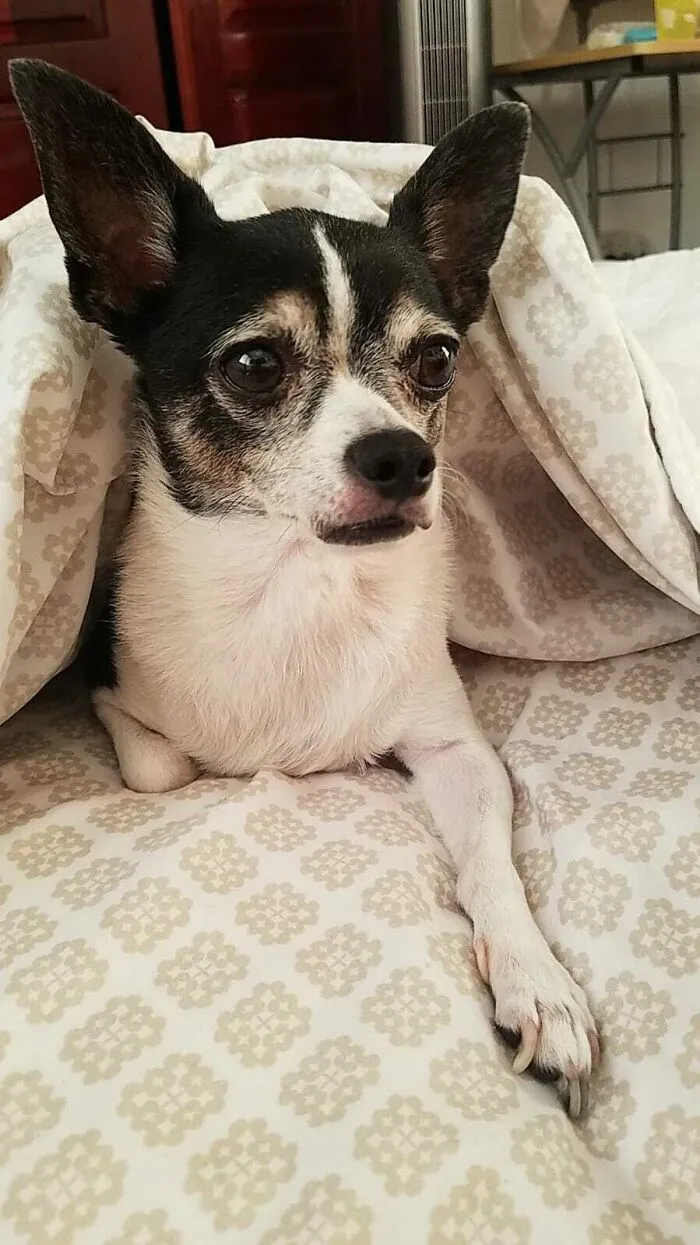 Waking Up!