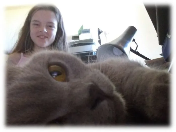 One Of My Cats: Poppet