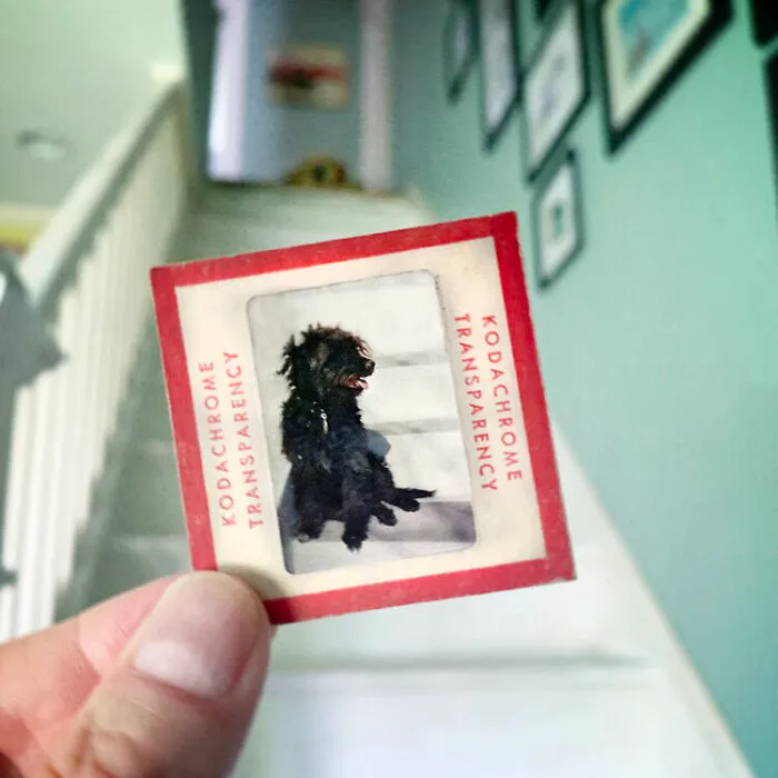 Photographer Uses Her Dad’s Old Slides To Create A Nostalgic Photo Series (31 Pics)