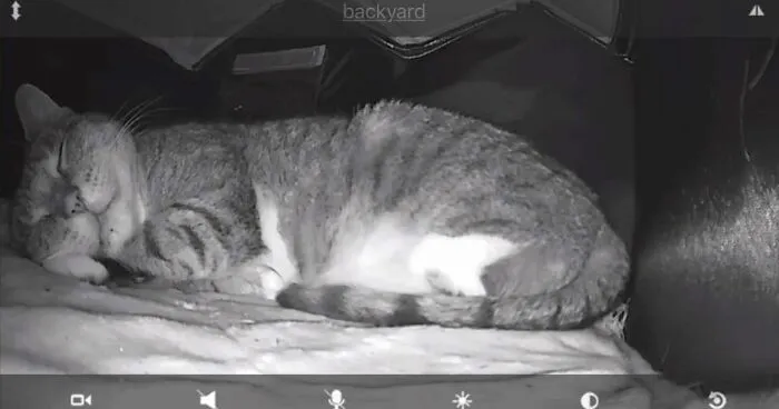 Dad Builds A Heated Cat House With Night Vision Camera To Make Sure The Stray Cats Make It Home Safely