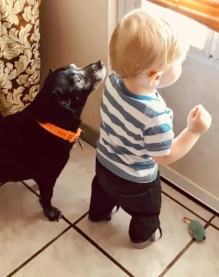 Y nunca pensé que 17 años después, mi mejor amigo viviría para conocer a mi primer hijo
