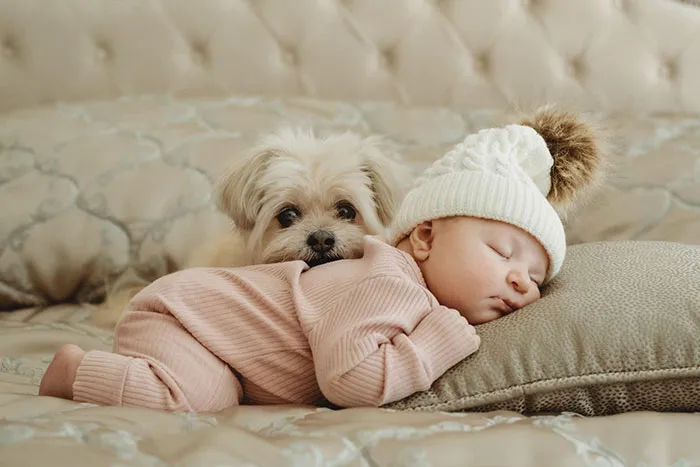 Sabía que a mi perro mayor le encantaban los bebés, pero verlo amar a mi hija me hace estallar el corazón
