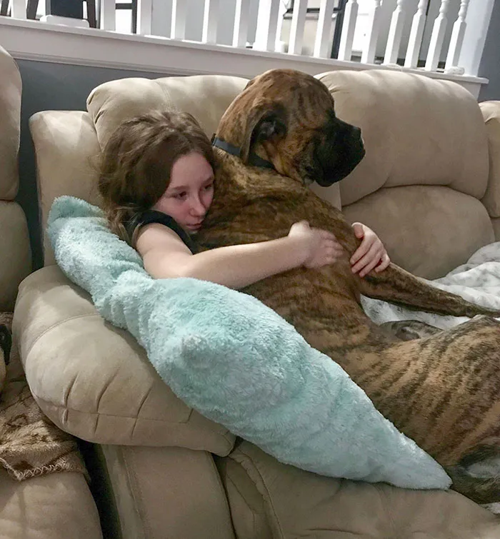 Mi hija mayor ha estado luchando contra un resfriado. 43 kilos de perrito faldero al rescate. Un chico tan bueno