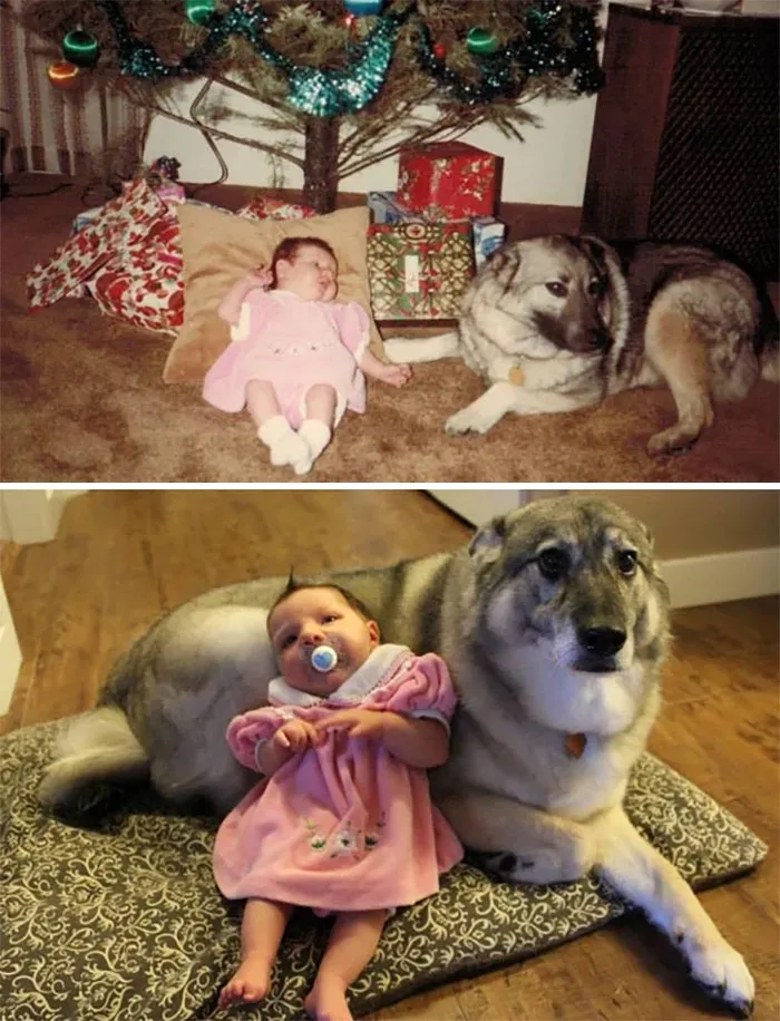 Hace 30 años mi esposa y su cachorro, y nuestra hija y su cachorro