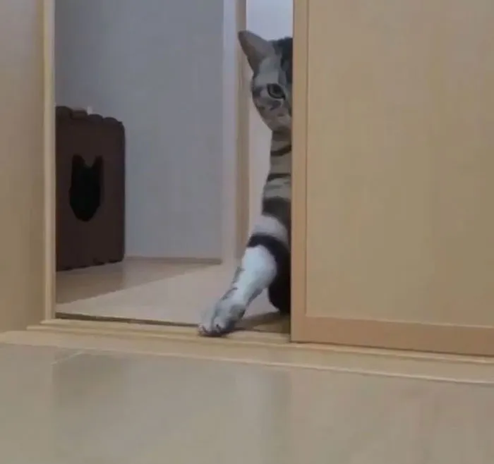 Hmm