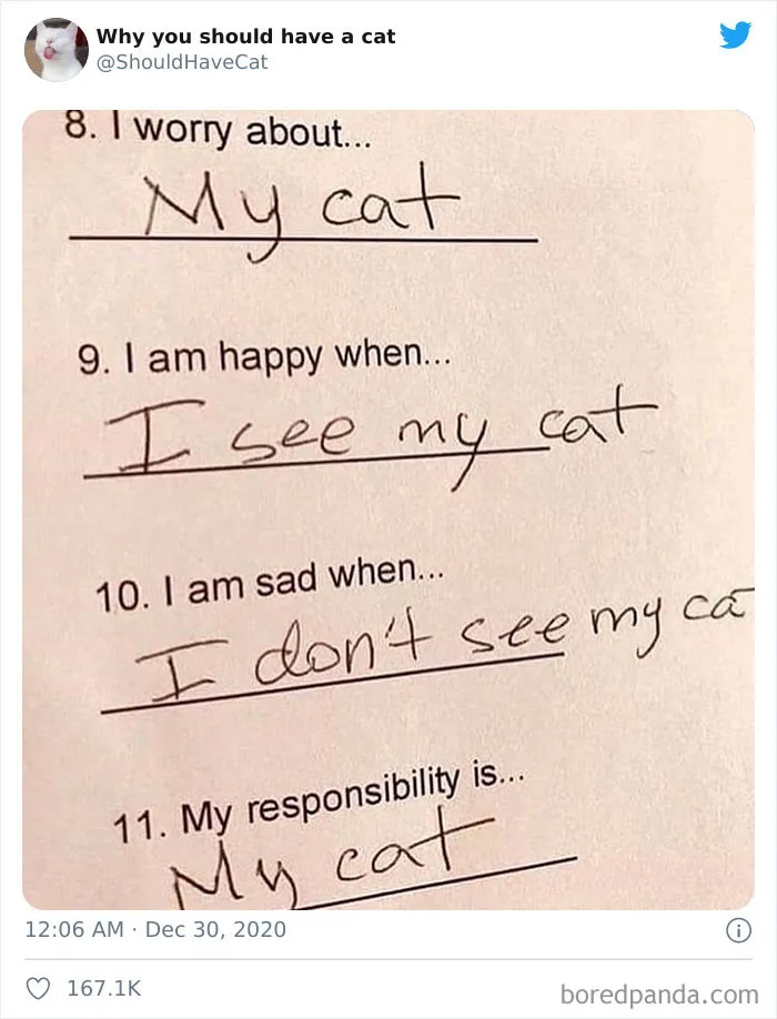 This Twitter Account Is Called 'Why You Should Have A Cat' And Here're 50 Reasons Why