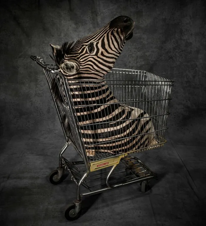 "Licence To Kill" By Britta Jaschinski