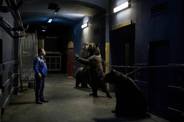 "Backstage At The Circus" By Kirsten Luce