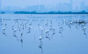 25 Pics From The 'Wildlife Photographer Of The Year' Contest That The Public Loved Most