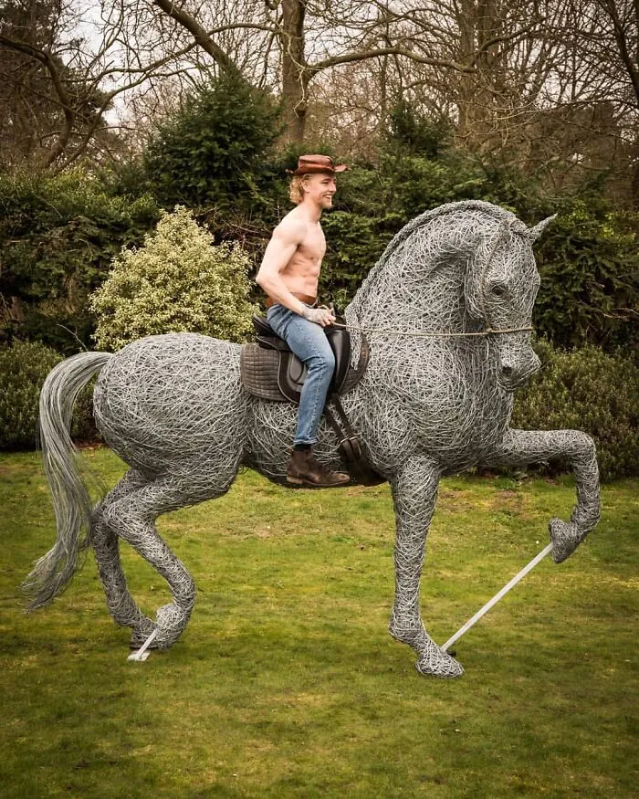 37 Incredible Animal Sculptures Created Out Of Galvanized Wire By This Norfolk-Based Artist