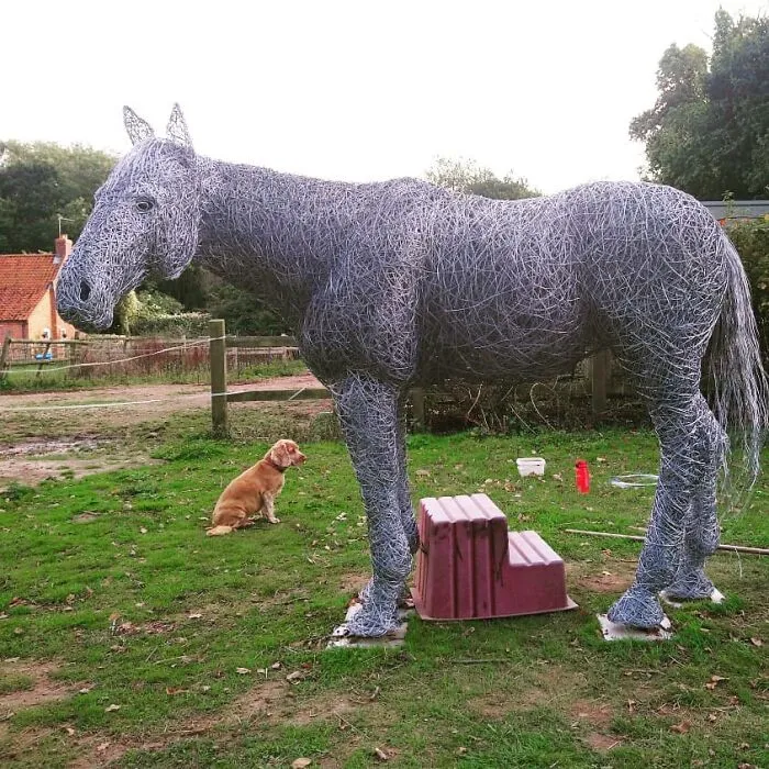 37 Incredible Animal Sculptures Created Out Of Galvanized Wire By This Norfolk-Based Artist