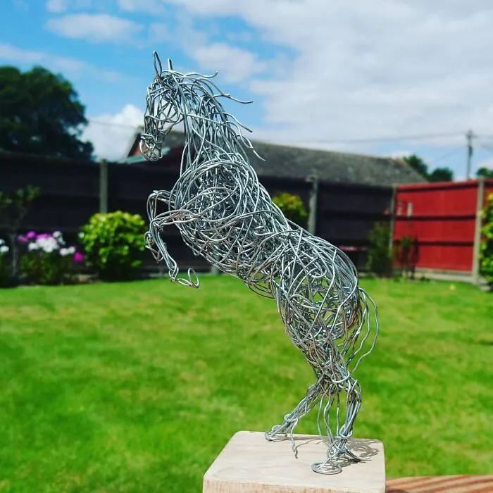 37 Incredible Animal Sculptures Created Out Of Galvanized Wire By This Norfolk-Based Artist
