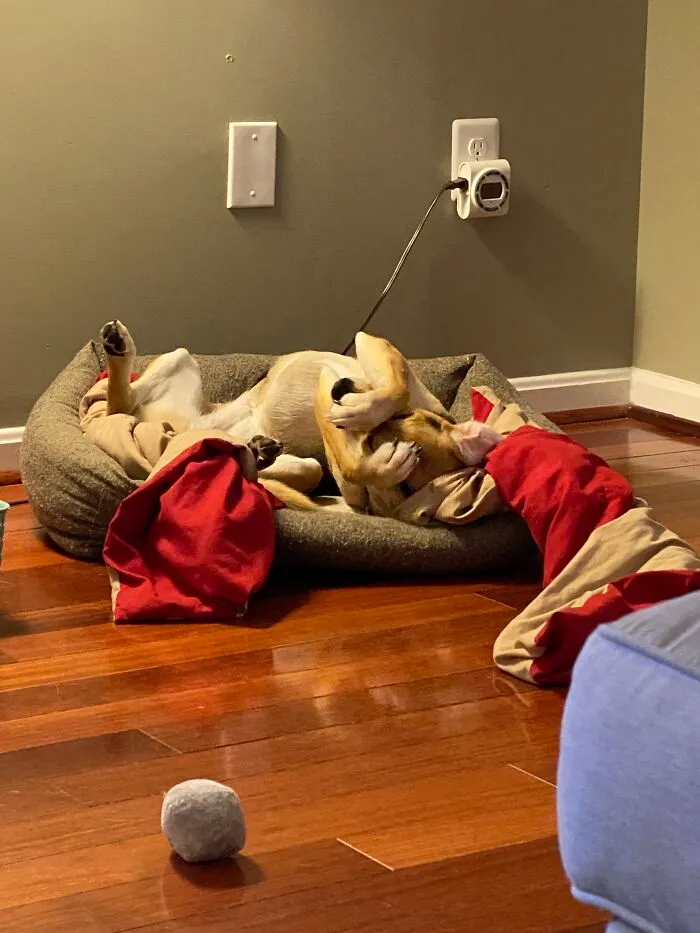 Noooo I Don't Wanna Get Up Yet.