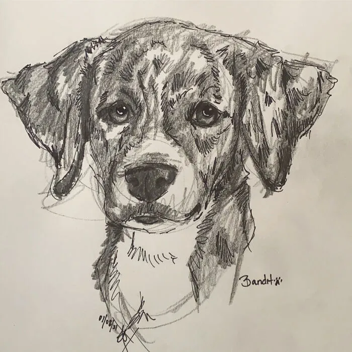 I Draw Pet Portraits On Request And Then Donate The Received Funds To Charity (70 Pics)