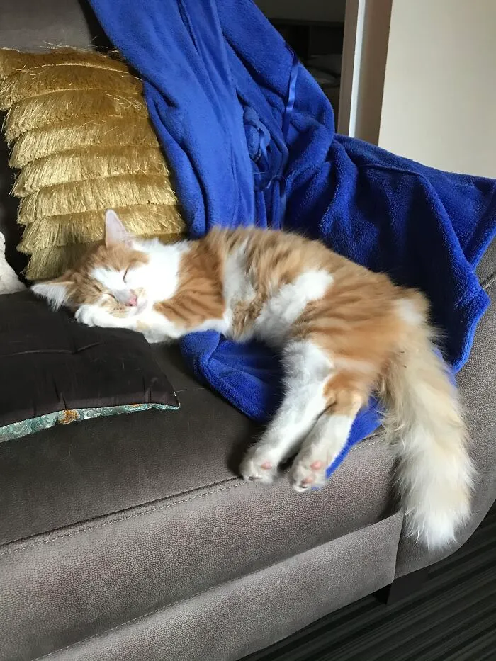 She Was A Stray A Week Ago.