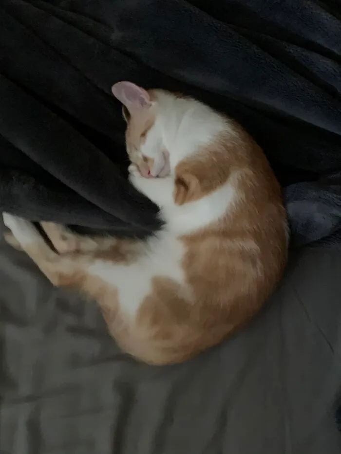 Apparently I Have To Learn How To Sleep In A Proper Position