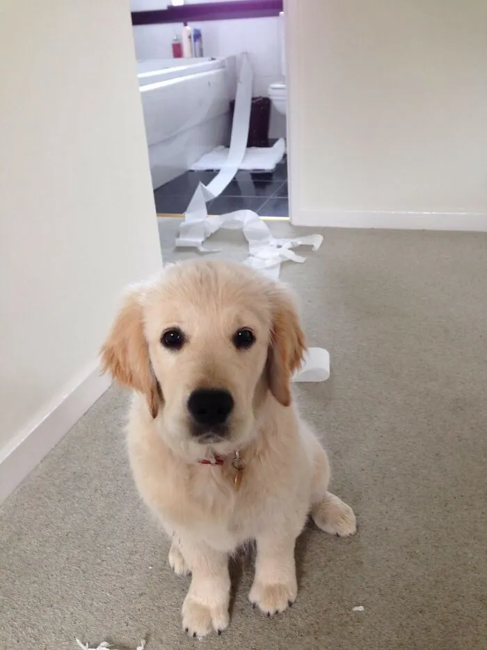 Albert Having A Great Day!