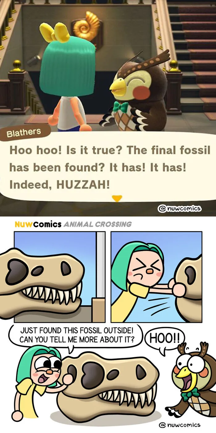 Fossils