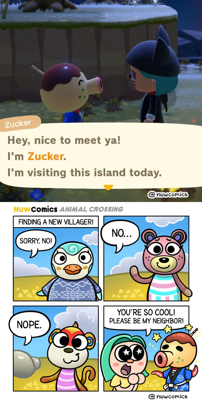 New Villager