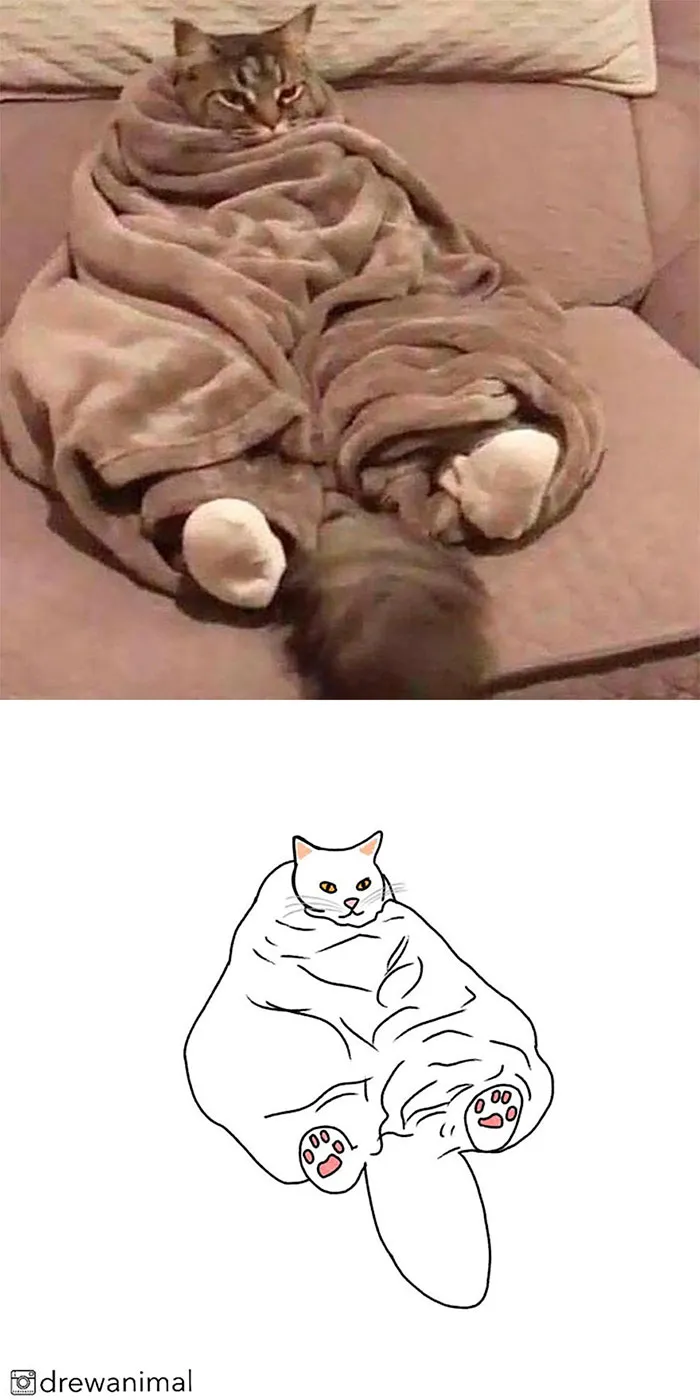 Artist Transforms Funny Cat Pics Into Illustrations And Here Are 70 Of The Best Ones