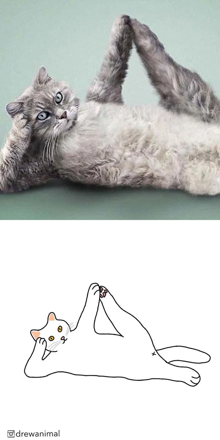Artist Transforms Funny Cat Pics Into Illustrations And Here Are 70 Of The Best Ones
