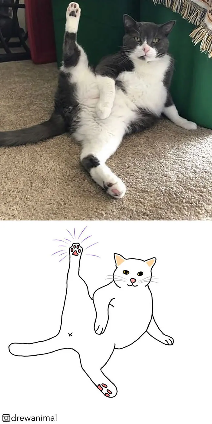 Artist Transforms Funny Cat Pics Into Illustrations And Here Are 70 Of The Best Ones