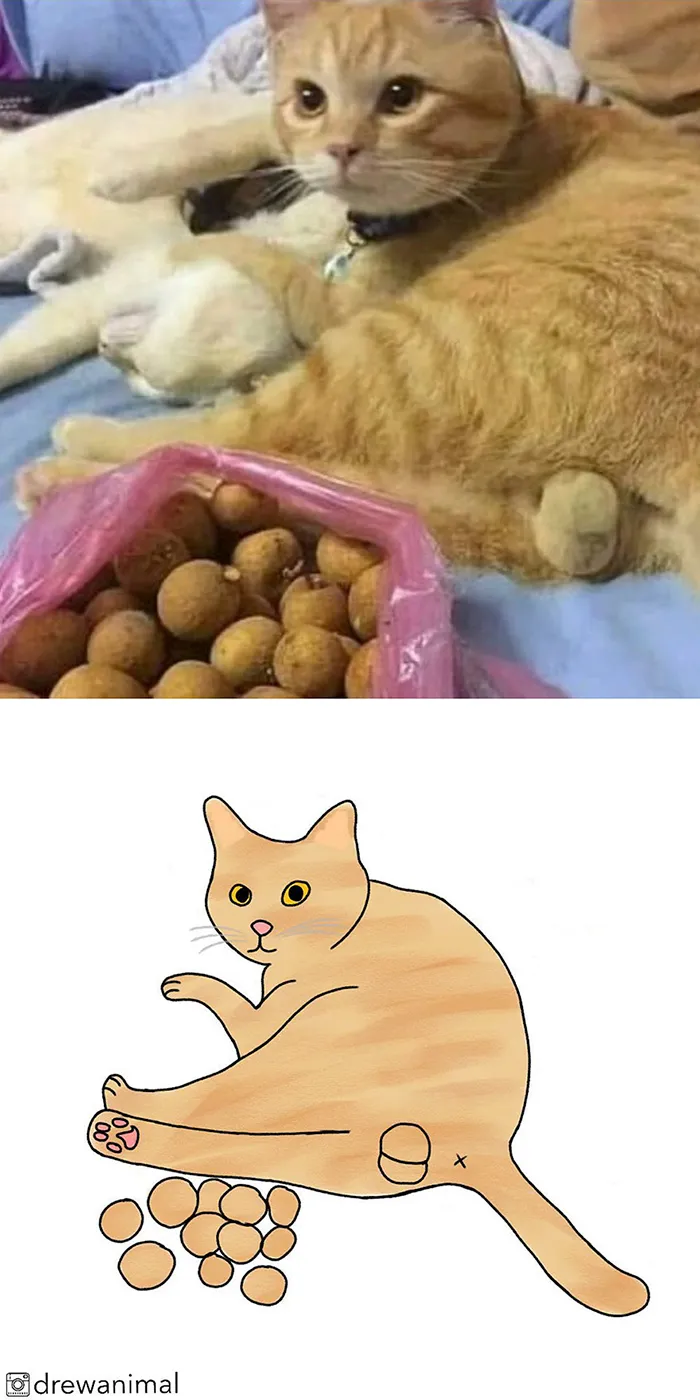 Artist Transforms Funny Cat Pics Into Illustrations And Here Are 70 Of The Best Ones