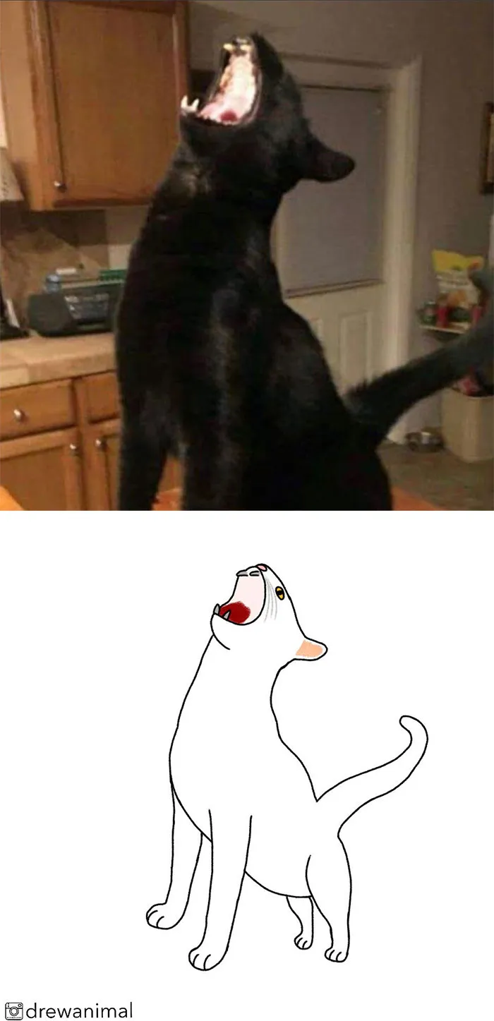 Artist Turns Classic Cat Memes Into Minimalist Illustrations