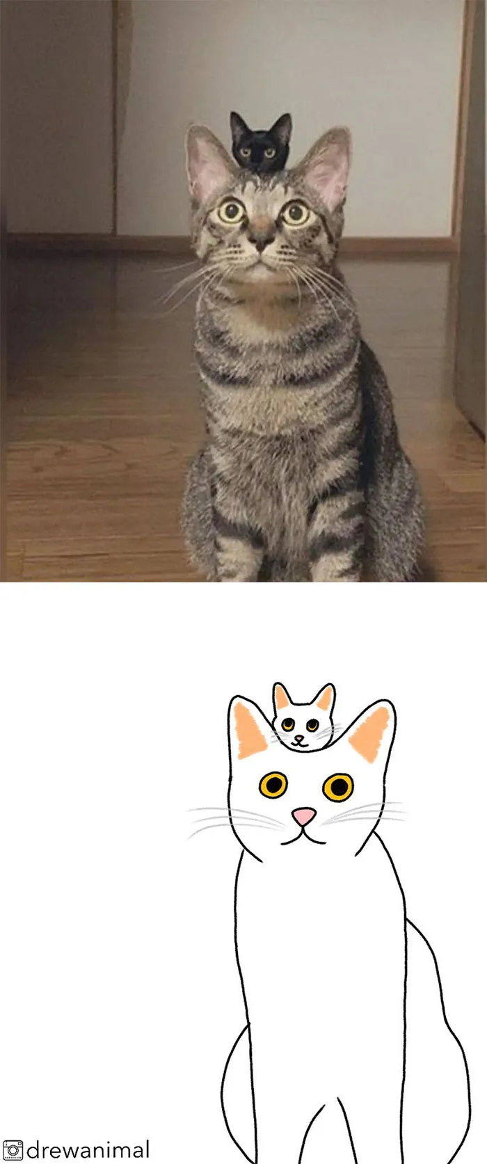 Artist Transforms Funny Cat Pics Into Illustrations And Here Are 70 Of The Best Ones