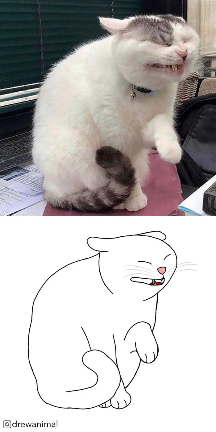 Artist Transforms Funny Cat Pics Into Illustrations And Here Are 70 Of The Best Ones
